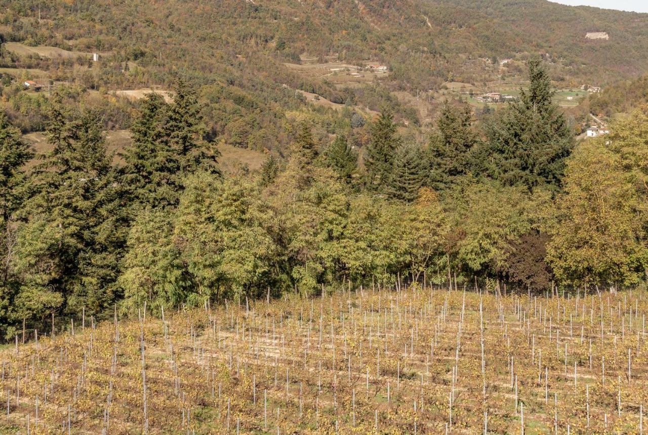 Tenuta Pian D'Attesio - Agriturismo Castelletto Soprano Екстер'єр фото
