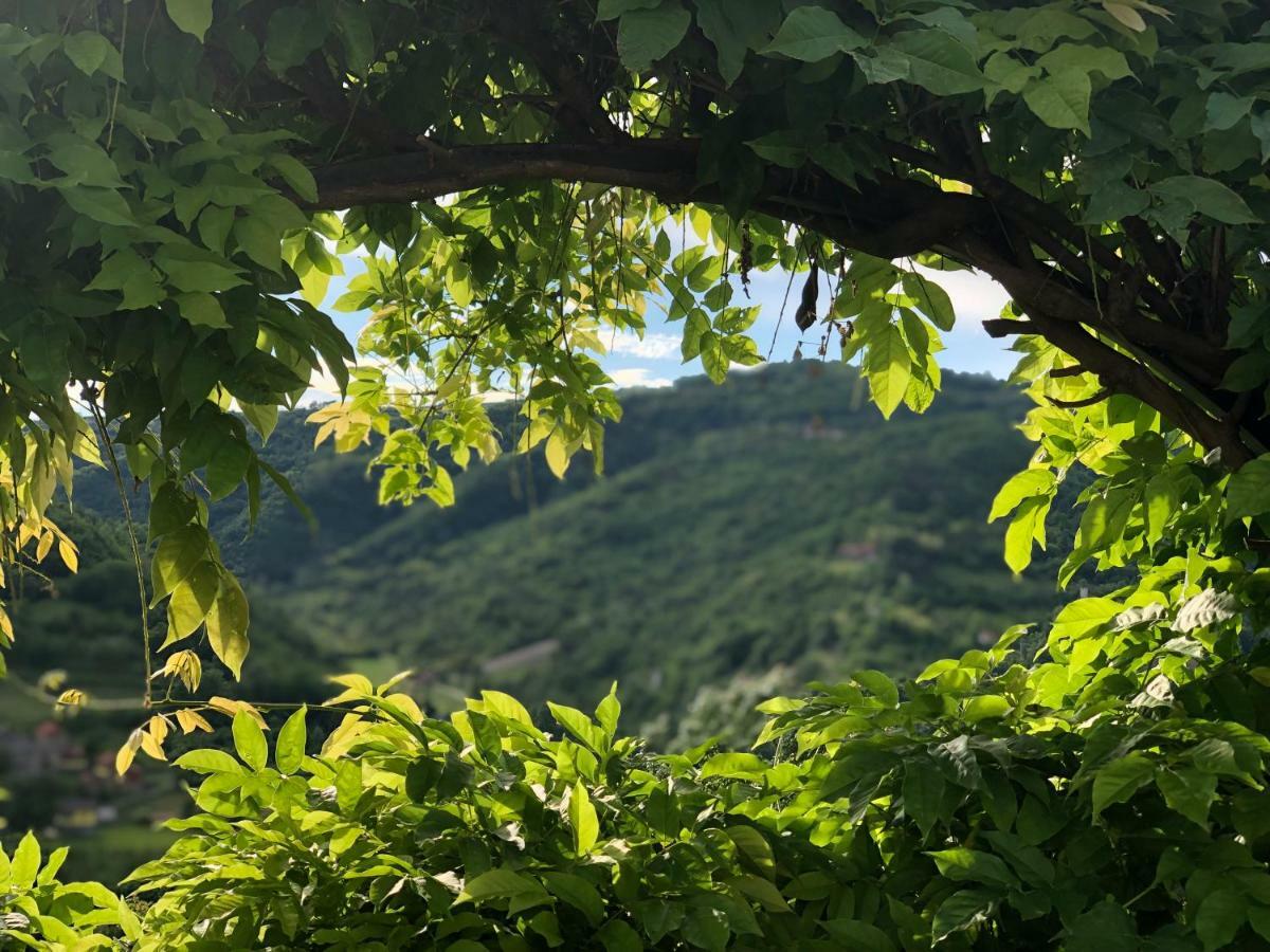 Tenuta Pian D'Attesio - Agriturismo Castelletto Soprano Екстер'єр фото